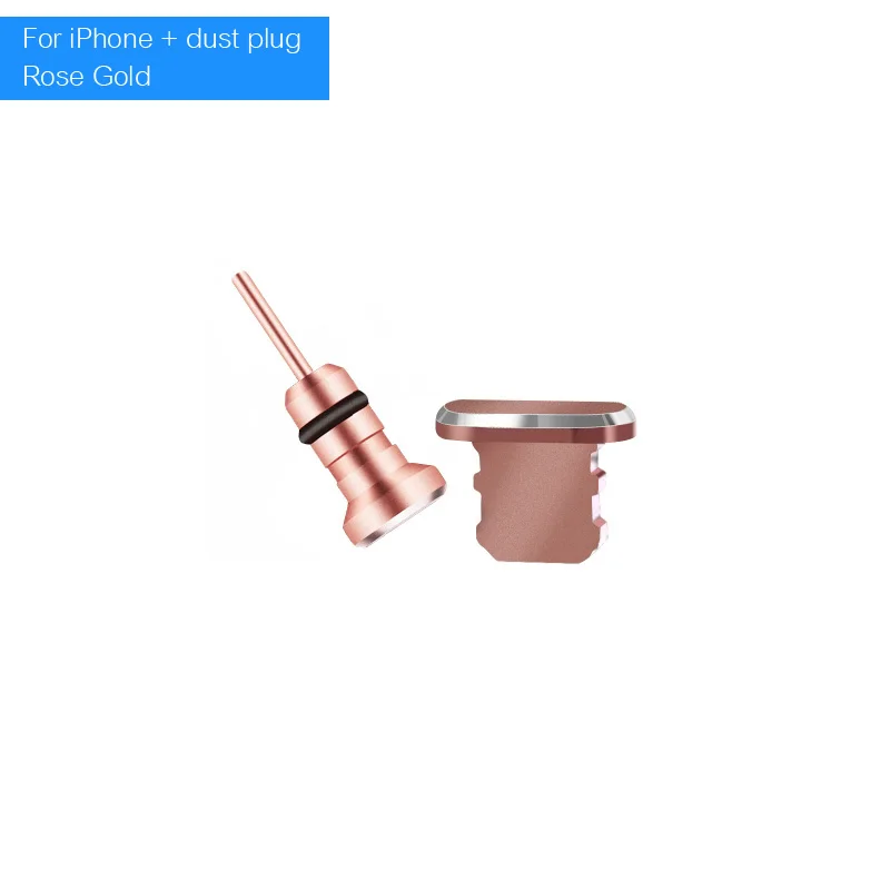 IP 