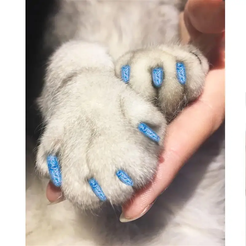 Кошка Когти Купить
