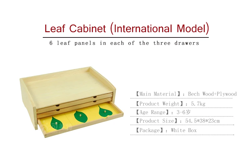 Botany Leaf Кабинета Пазлы деревянная коробка Монтессори биологические Обучающие образовательные игрушки Ранние дети дошкольные материалы