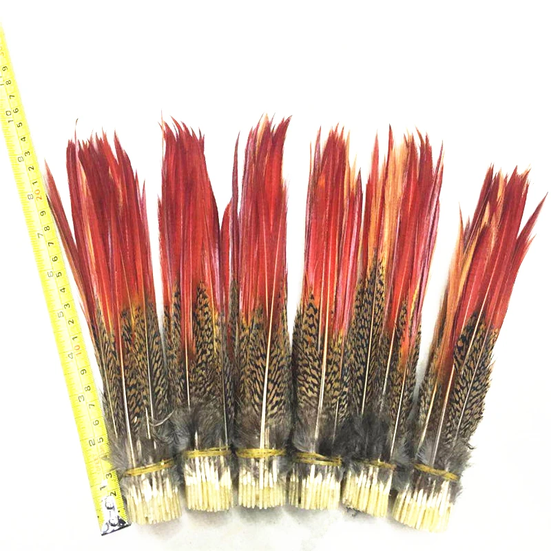 

Golden Pheasant Red Tips Loose Feather 5~30cm/2-12inch Red Sword Feathers for Crafts Jewelry Making Plumes Plumas Decoration