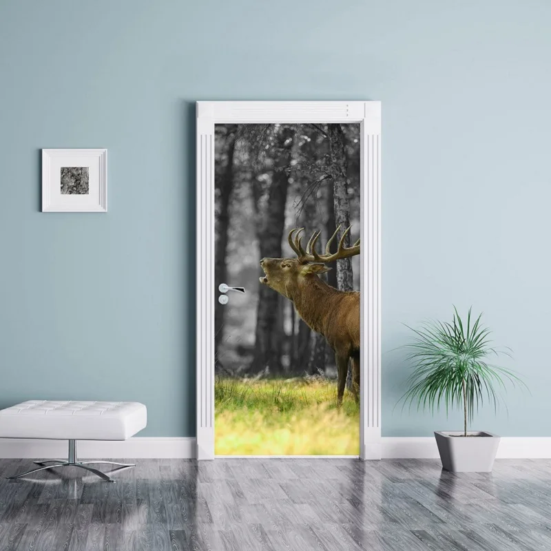 door_5202---2_1