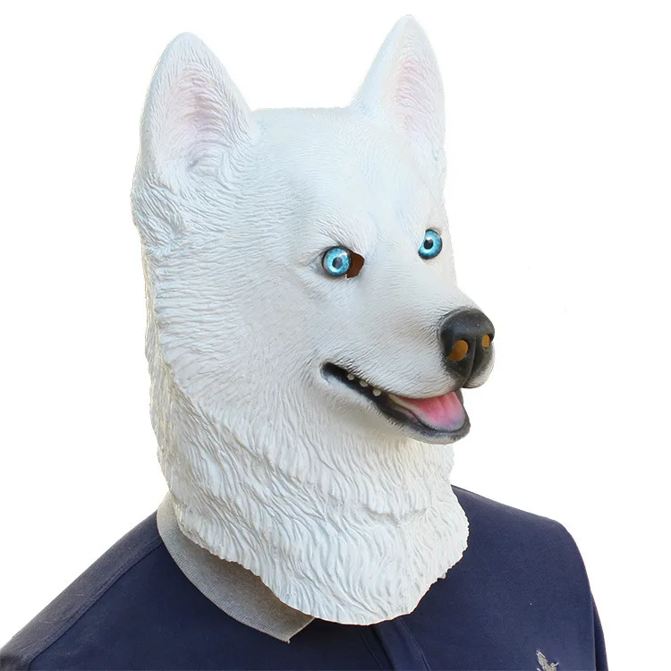9023526400_1132094720