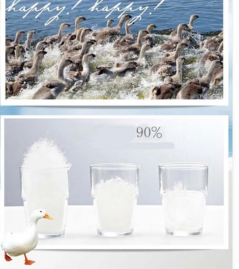 2259511139_1349044292 -  (3)