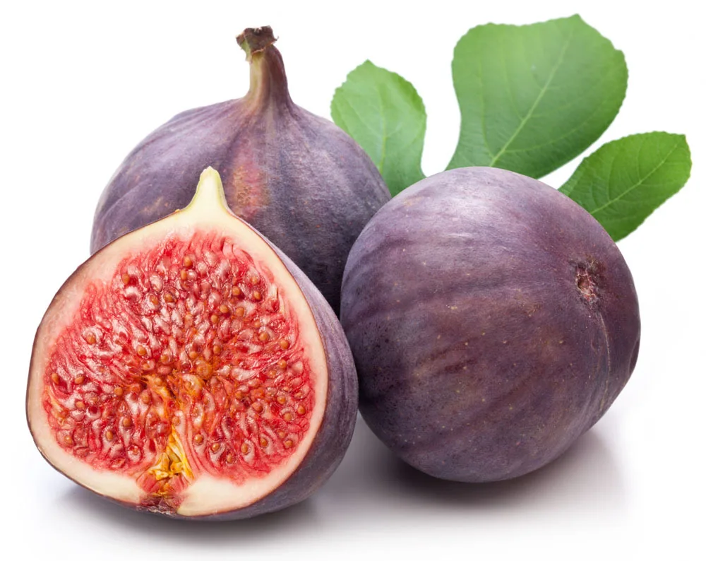 Online Buy Wholesale fig fruit from China fig fruit Wholesalers
