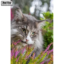 Чжуи звезда полный квадратный алмаз 5D DIY Алмазная картина фото на заказ "милый кот" 3D вышивка крестиком Мозаика Декор