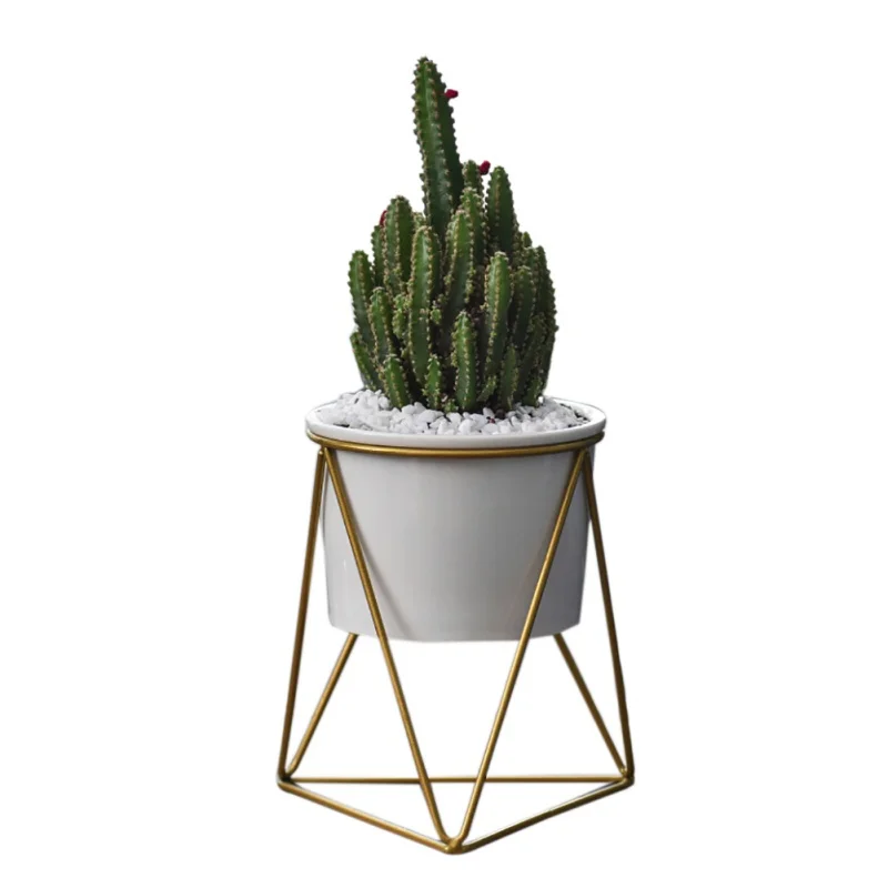 

2pcs/set Desktop Decoration Geometric Gold Iron Rack Holder & Plant Flower Pot Set Ceramic Planter Ceramic Succulents Herb Pot