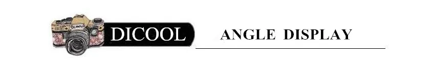 DICOOL  2 angle display
