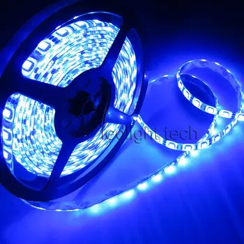 

100M Superbright 24V 20x 5M 5050 SMD 300 leds Blue Flex LED Strip Light Non Waterproof