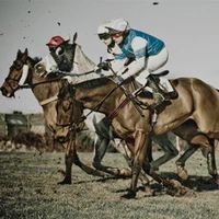 Horse Riding