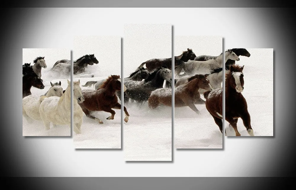 

8230 2017 Promotion Real Painting Cuadros Painting By Numbers Running Horse Freedom Home Decoration-Canvas-Painting-Poster.jpg