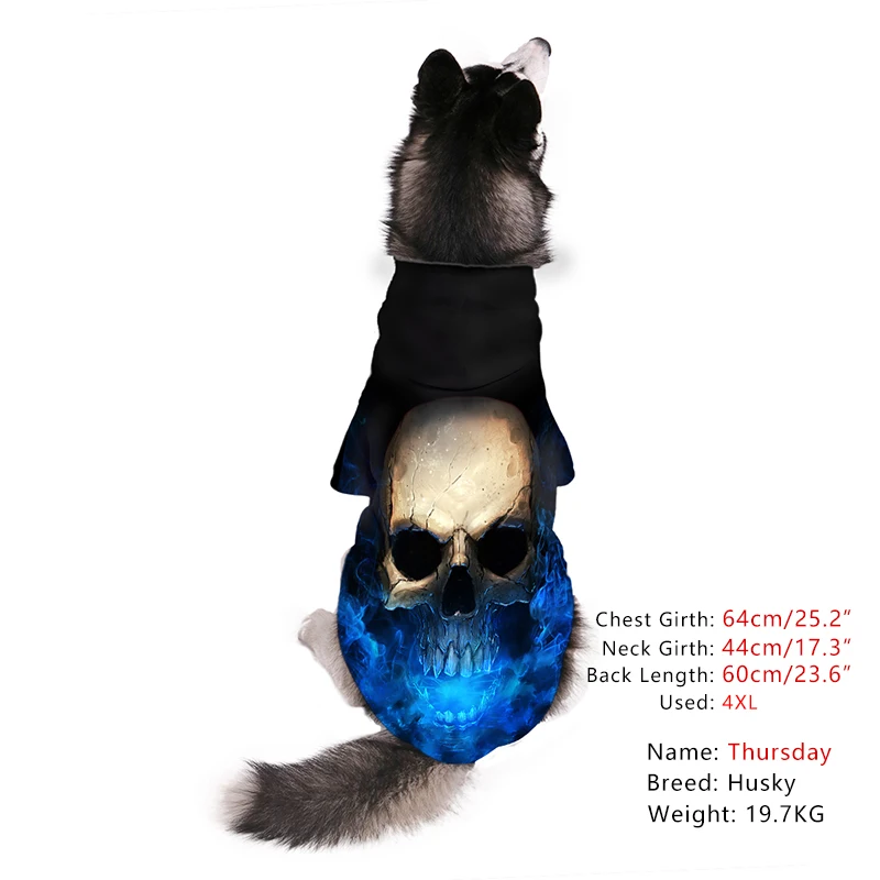  (1) 