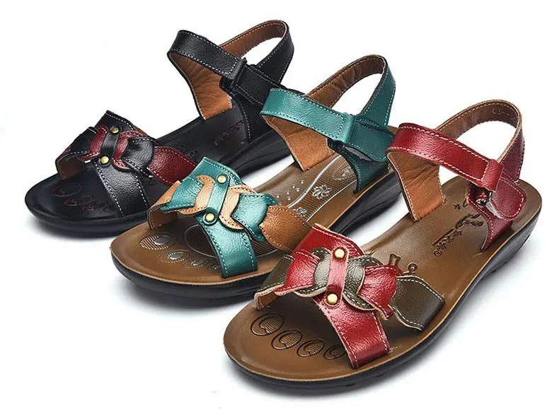 4022494508_1703537044222