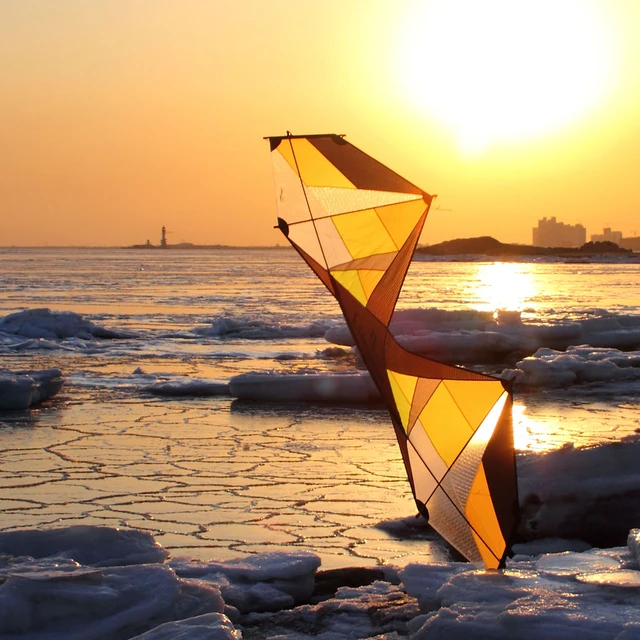 Cheap High Quality Quad Line Stunt Kite Flying For Sale 4 Line Sport Kite Beginner Stunt Kite Free Shipping