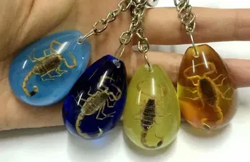 

Fashion Jewelry YQTDMY 12 pcs Classic Scorpion Mixed Colorful Jewelry Hip Hop PUNK Gift