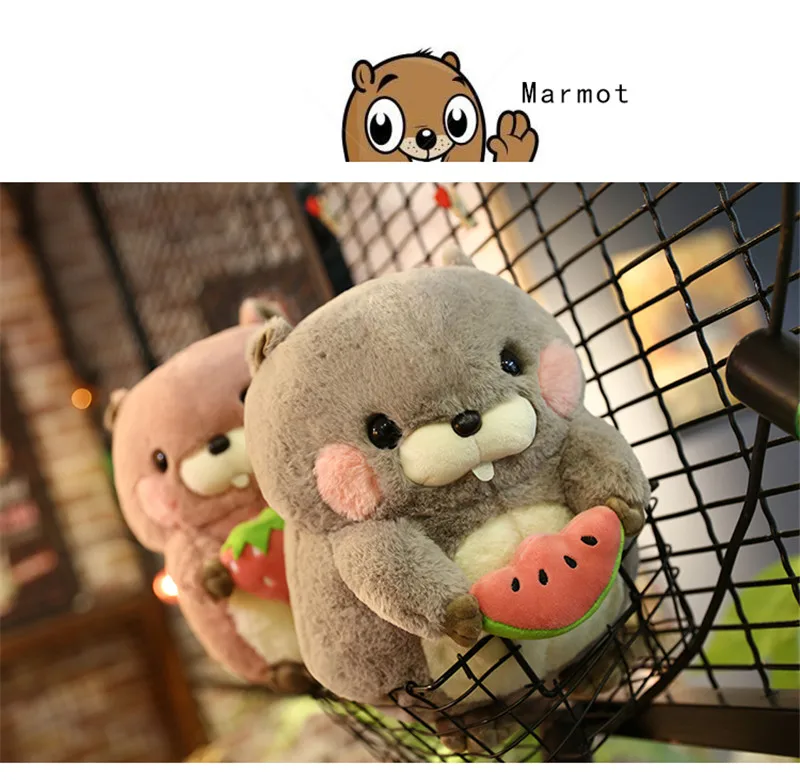 DOLLS (33)
