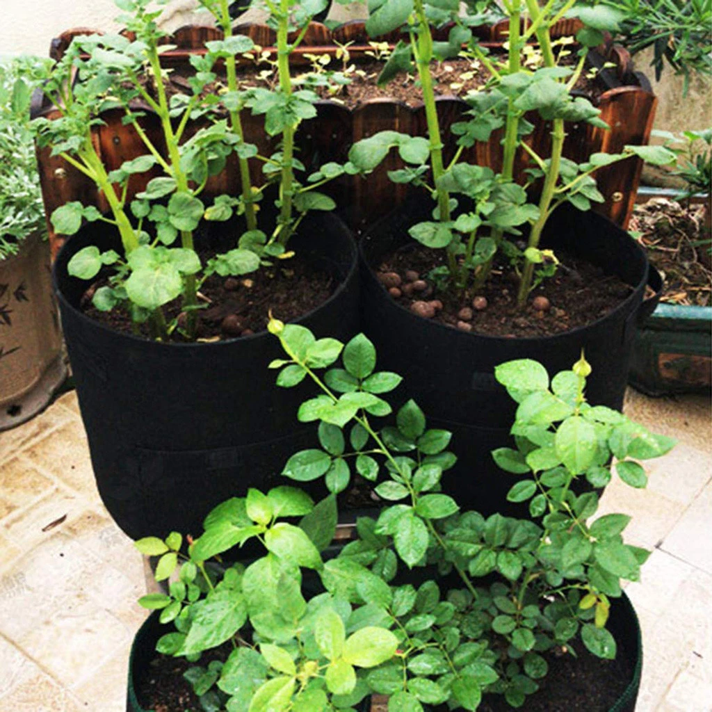 3pcs Diy Potato Grow Planter Black Bag Pe Cloth Planting Container Bag Vegetable Growing Thicken Garden Pot Planting Grow Bag Grow Bags Aliexpress