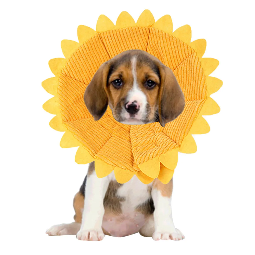 

Transer Collar Dog Cat Pet Sunflower Dogs Neck Circle Anti-bite Wound Healing Ring Shape 18 Dec24 P45