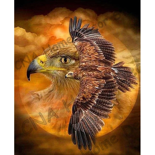 Full Drill 5D Diamond Painting kit Cross Stitch Embroidery Decor Scenery Eagle