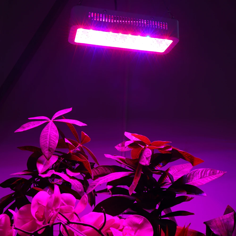 Мини полный спектр светодиодный 300 Вт Светодиодный светильник для выращивания с 50 светодиодный s Красный Синий УФ ИК лампа для выращивания растений для комнатных цветочных овощей гидропоники