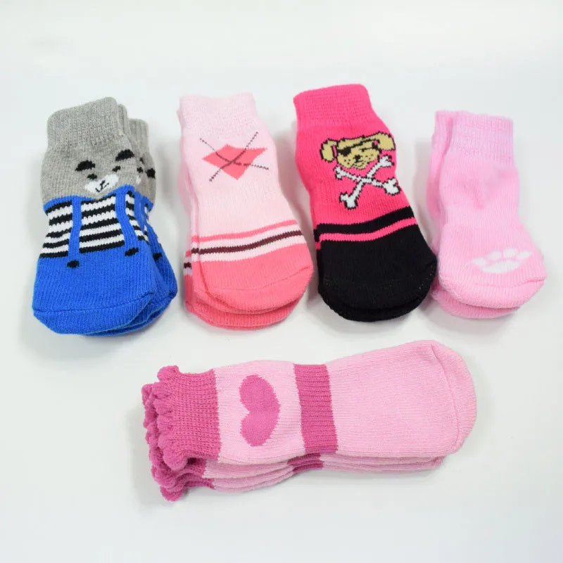 socks dog