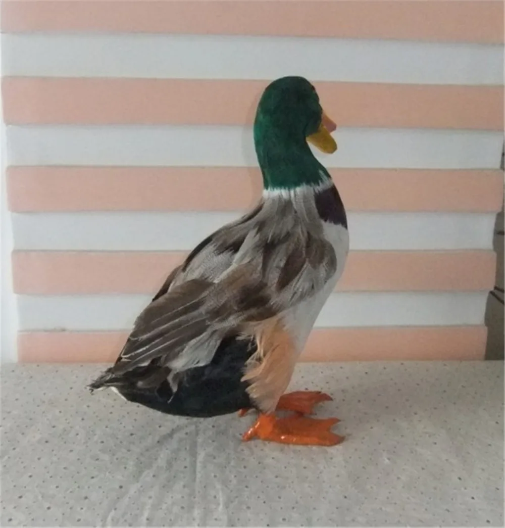 Fancytrader Simulation Animals White Duck Decoration Toy Made of Plastic&Feathers Goose Doll Model Teaching Props Kids Gifts 24x27cm3