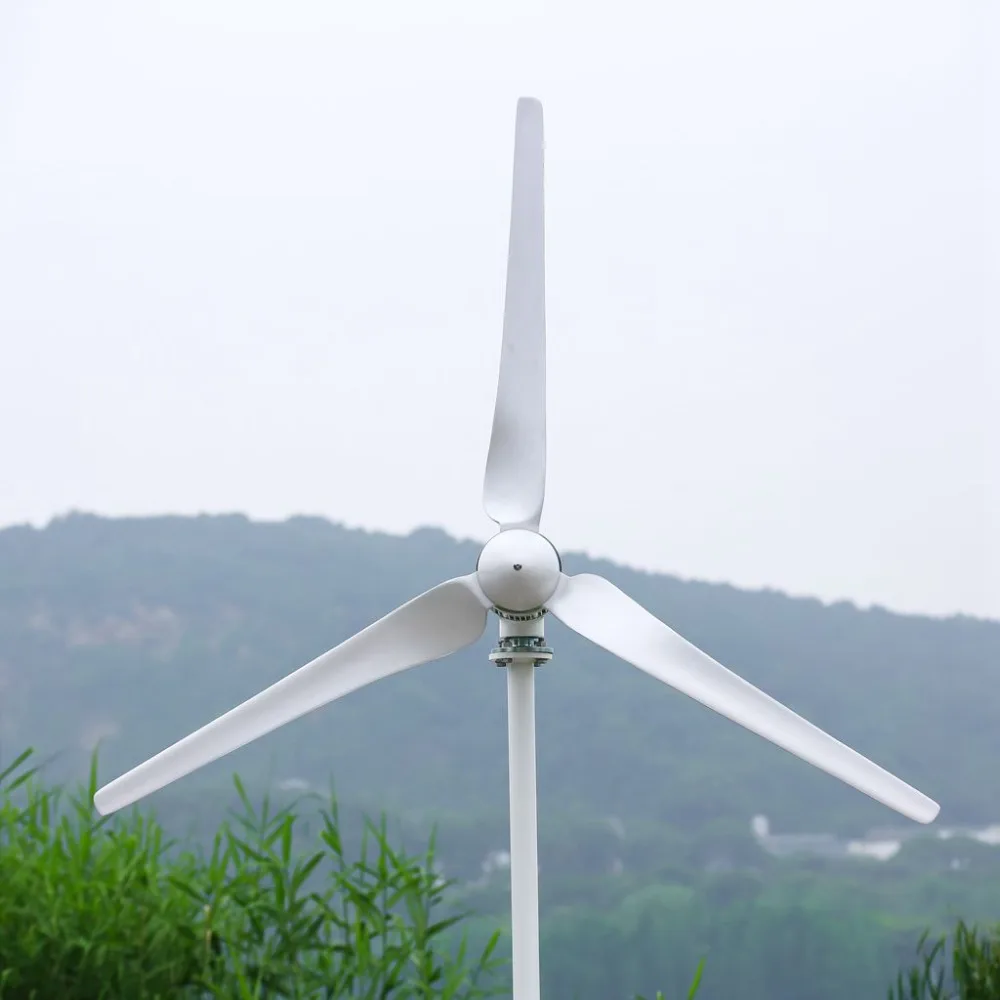 

CE 1kw 1000w Wind Generator Turbine Horizontal 1000watt Horizontal Aerogenerador Controller Available China Factory