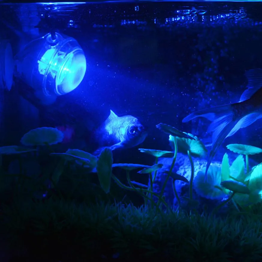 Outdoor Indoor Underwater led lamp, Waterproof led aquarium light for