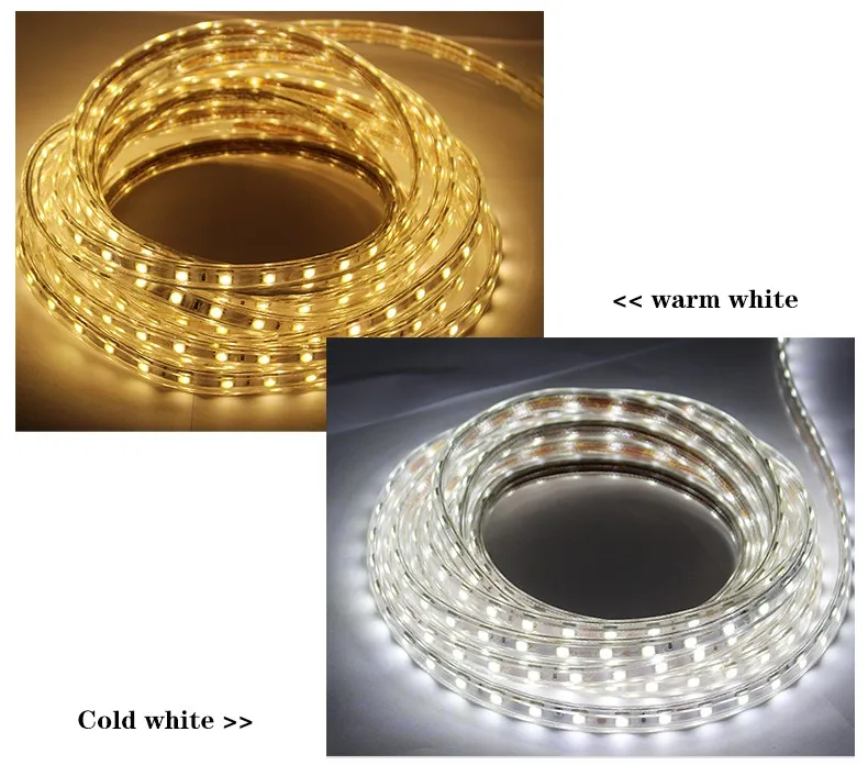 220V 110V LED Strip Light SMD 5050 Waterproof LED Strip Flexible Light