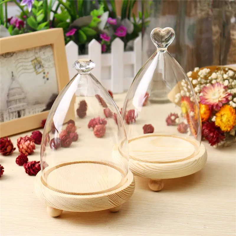 KiWarm красивый стеклянный дисплей Клош колокольчик купольная ваза для цветов с сохранением, деревянная основа, украшение для дома
