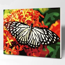 Любовь номер бабочки картина маслом картины для уркашения стен для гостиной холст животное Цифровая живопись рисунки без рамки