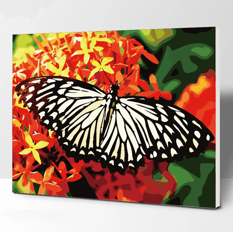 картина бабочки. бабочки маслом на холсте. картина по номерам бабочка. раскрасить бабочек акриловыми красками. бабочки маслом на холсте.