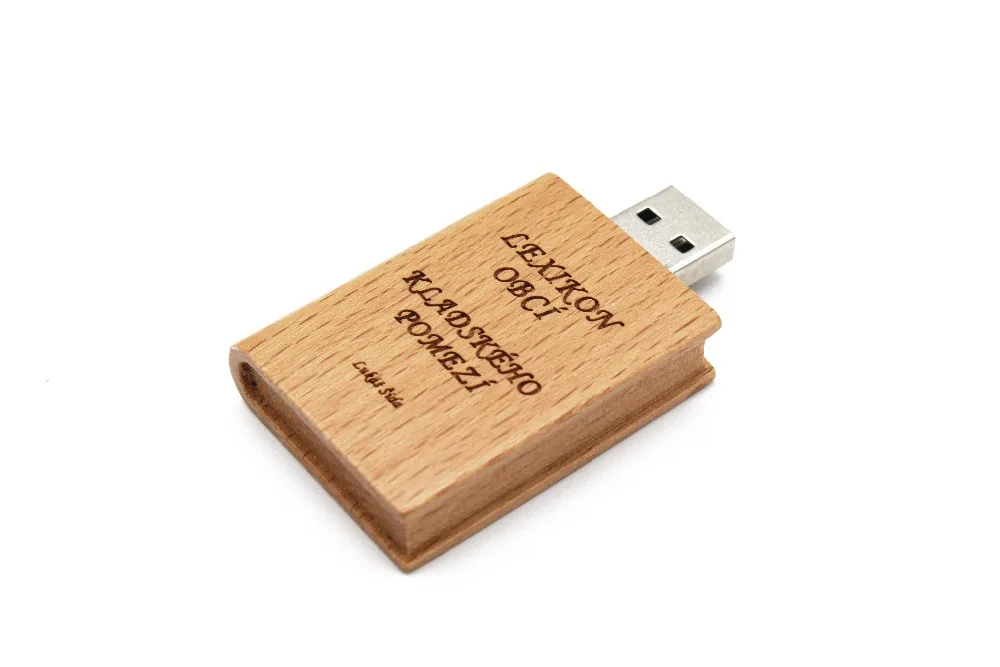 Король SARAS логотип книга usb флэш-накопитель 4 ГБ 8 ГБ 16 ГБ 32 ГБ 64 ГБ usb2.0 на заказ подарок флешка