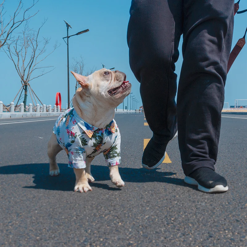 

[MPK Store ] Hawaii Dog Shirt in 4 Designs, Cool Looking Dog Clothes, Dog Summer Clothes, 7 Sizes Available