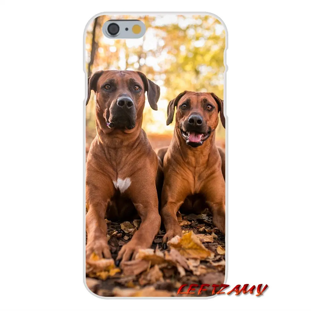 Модные мягкие прозрачные чехлы для iPhone X XR XS MAX 4 4S 5 5S 5C SE 6 6S 7 8 Plus ipod touch