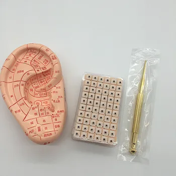 

3 In 1 Auricular Paster Ear Therapy Massage Probe Pen Press Ears Vaccaria Stickers Acupuncture Needle + Ear Model + 600 Seeds