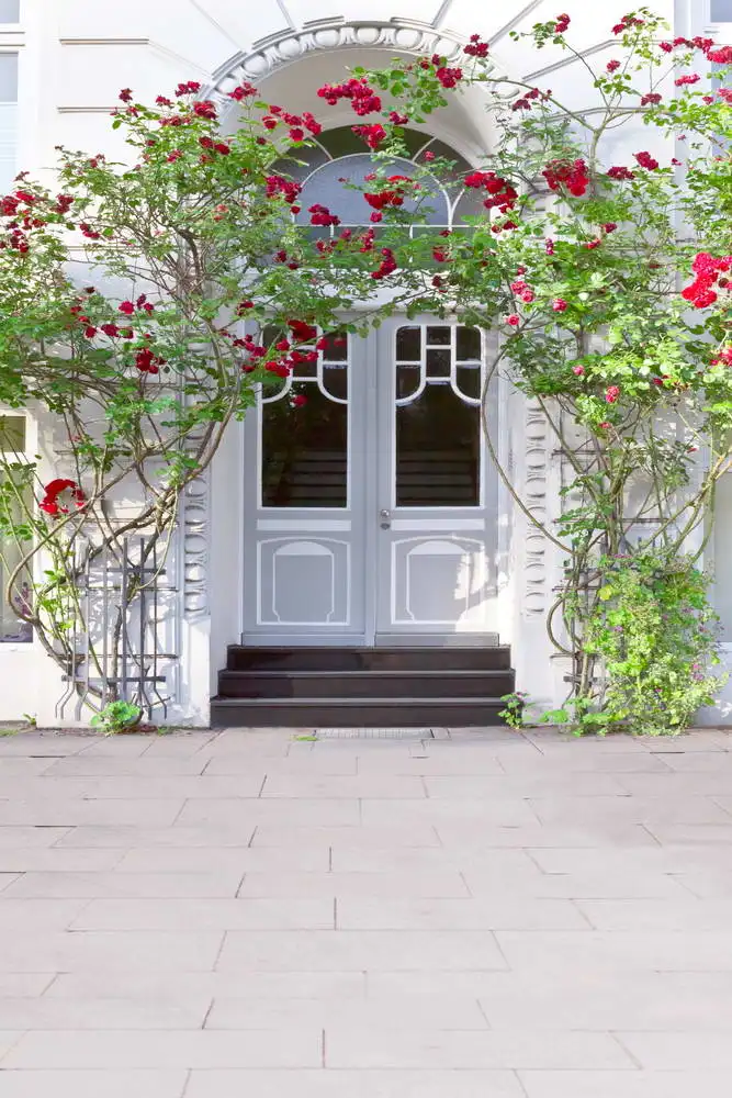 5x7FT Dark Pinke Flowers Green Branch Porch Steps Door ...