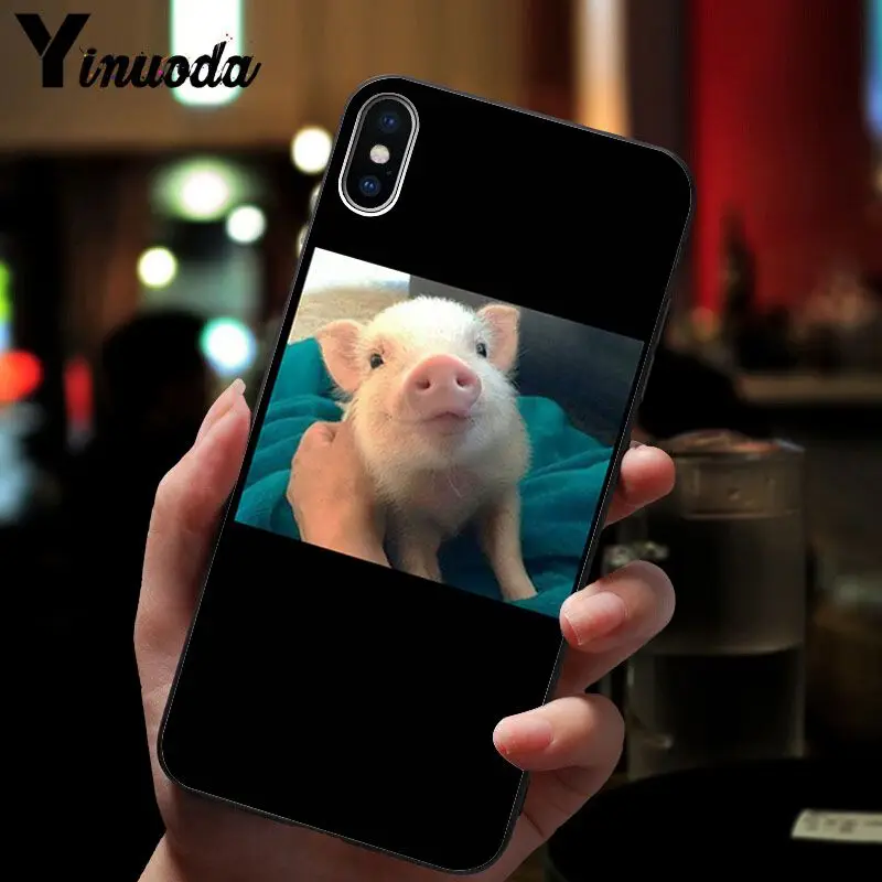 Cute Pig Print 