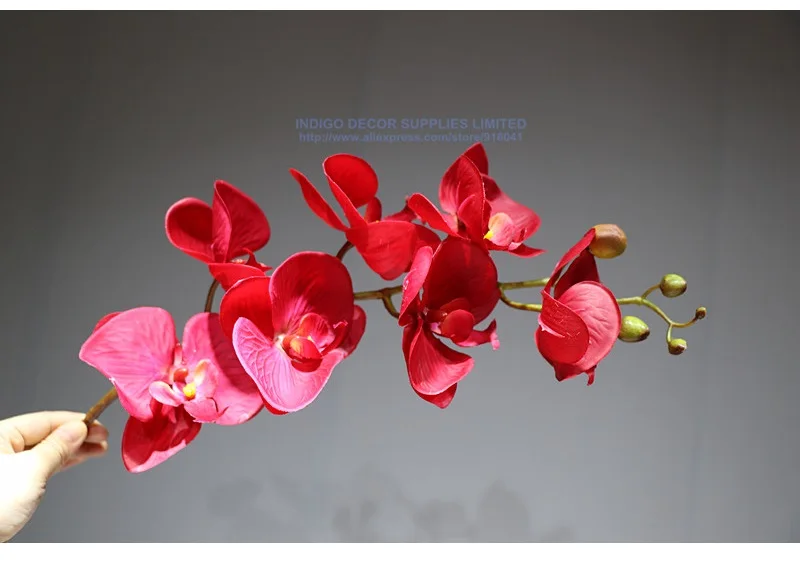 Индиго-красный фаленопсис орхидеи 7 головок Настоящее прикосновение цветок орхидеи декоративный свадебный цветок орхидеи Цветочные партии