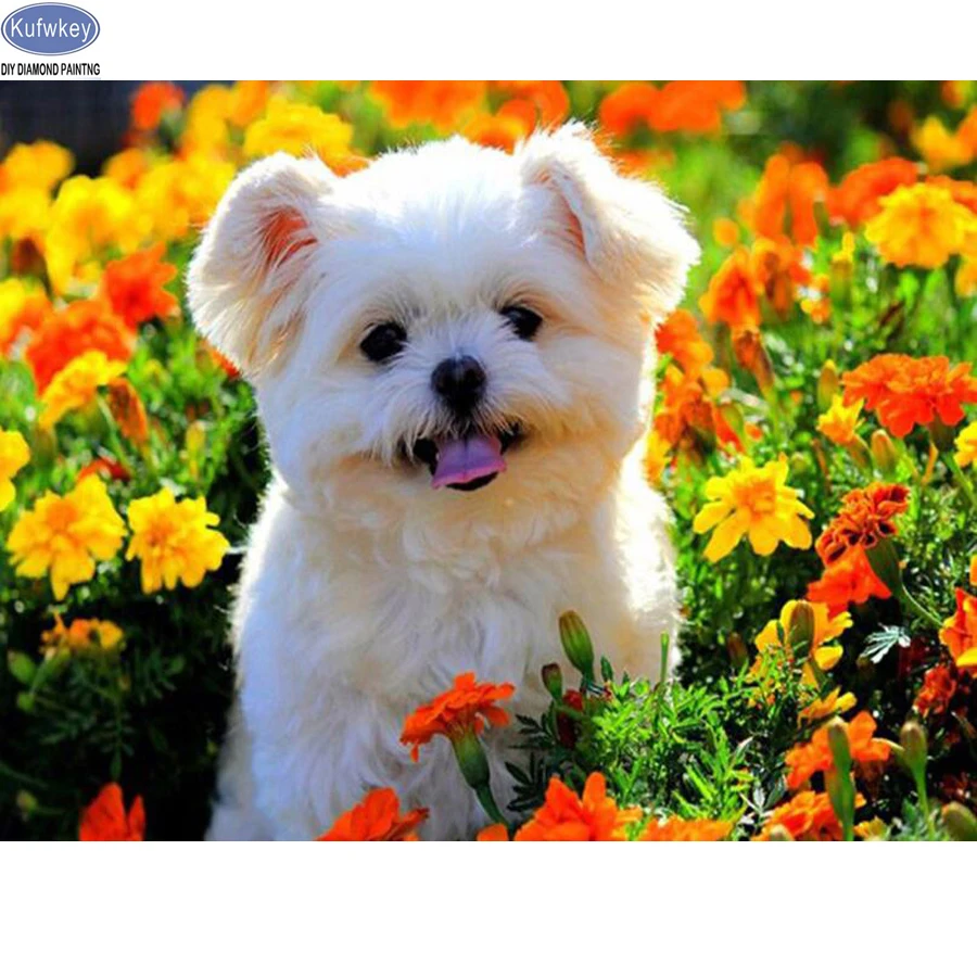 

Full Square 5D DIY Diamond Painting flower,Wall Picture Diamond Embroidery dog animals,Cross Stitch kit,Mosaic,home decoration
