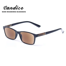 Reading Glasses Fashion Outdoor sports and leisure Sunglass Readers Brown Lens Gray Lens Eyewears With Sun Glasses for Men Women