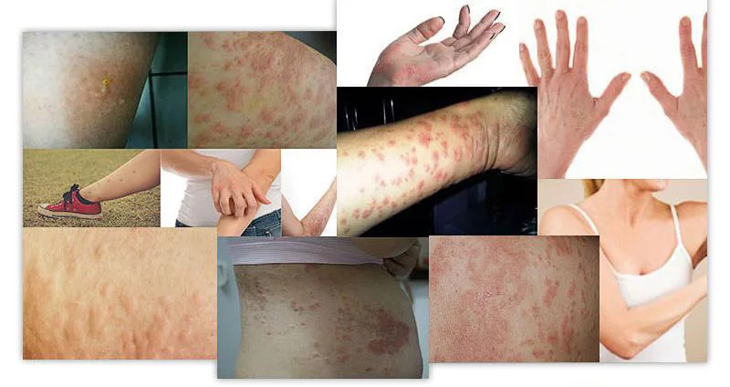 15e16c46eb77a89469ec8152cc82e9b2_HTB1wAHhaiHrK1Rjy0Flq6AsaFXai