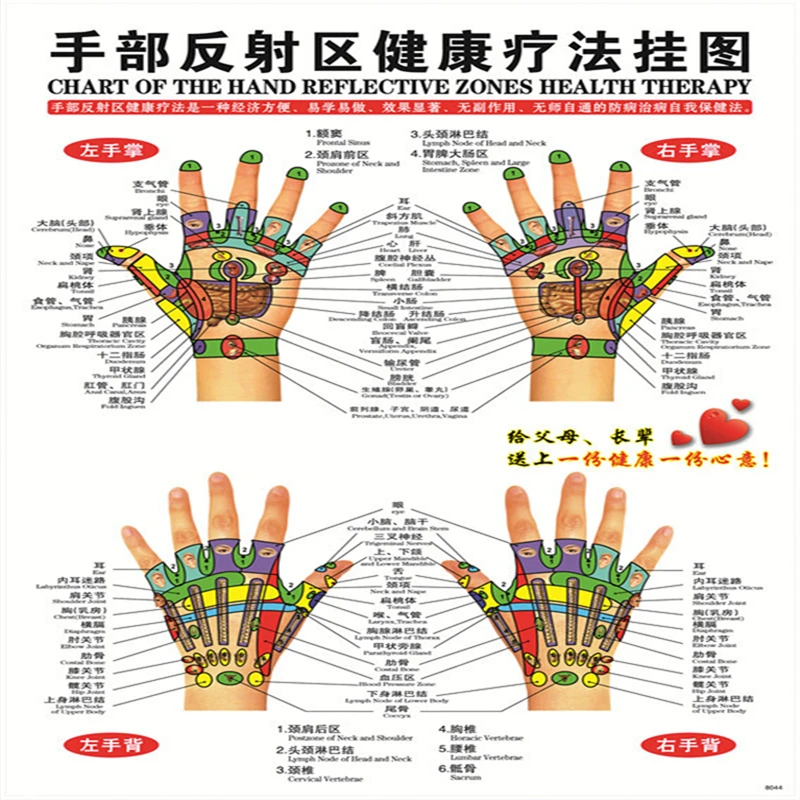 2017 Hot 7 pcs English Healthcare Human Acupuncture Wall Chart Diagram Foot Hand Head Ear Boby Acupuncture Meridian Chart