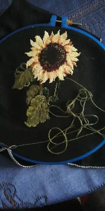photo Punto De Cruz En Tela Negra conjunto de plantas de paquete de punto de cruz de girasol 18ct 14ct 11ct tela negra bordado artesanal