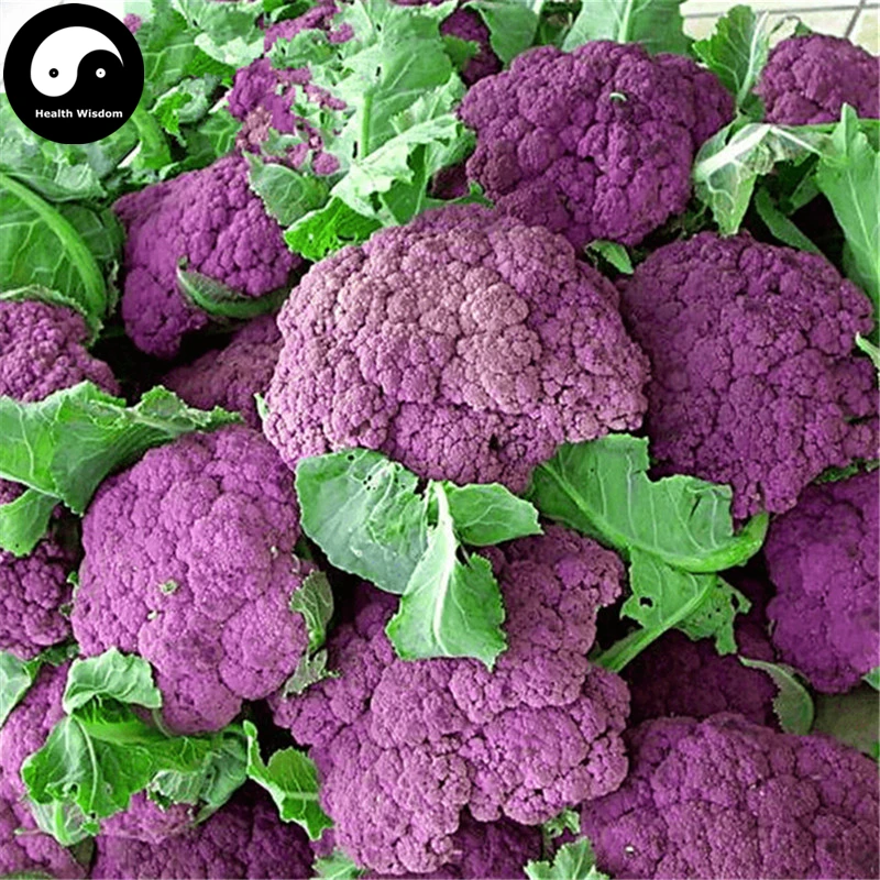 Buy Purple Cauliflower Vegetable Semente 400pcs Plant Rare