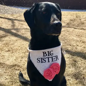 

custom BIG SISTER burlap Pet Wedding Bandana Bridal Outfit Engagement Photos Pregnancy Announcement cards save the date collars