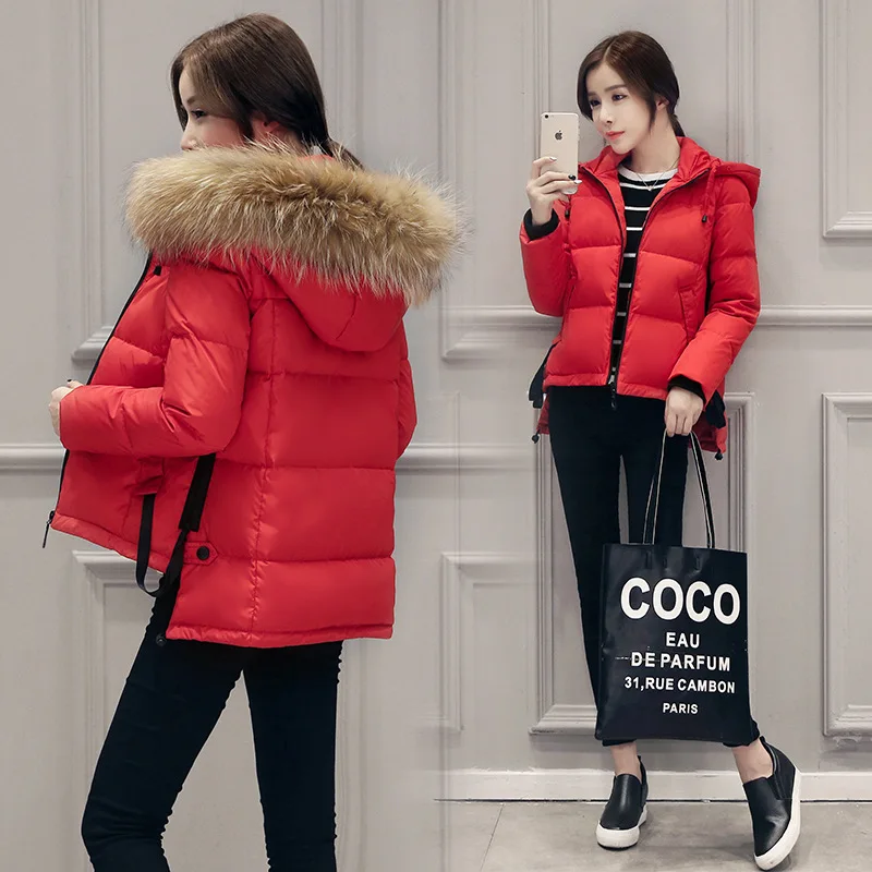 2016 Real Raccoon Fur Hooded Collar Short Down Parka
