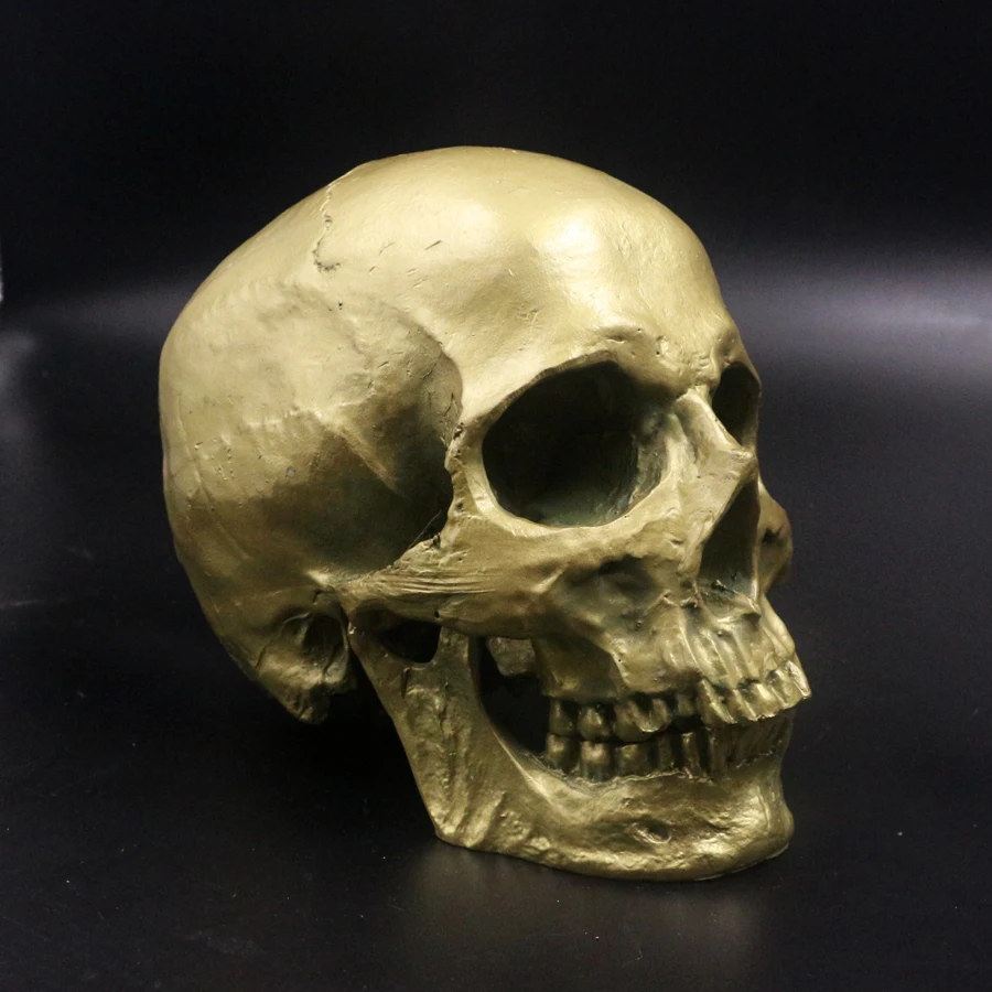 Human Skull Lifesize 1:1 Resin Model Aquarium Fish Tank Halloween Decoration