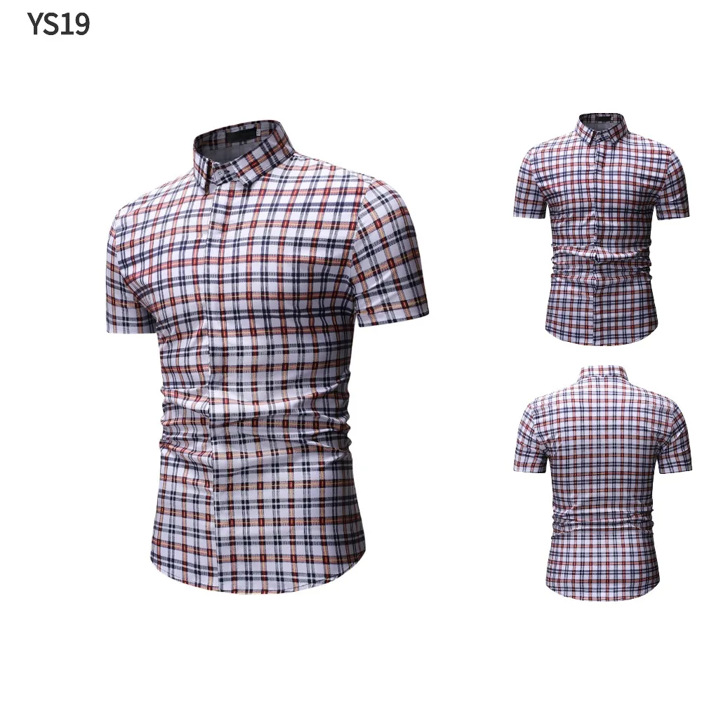 YS19-2