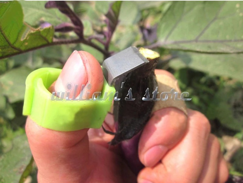 5 Pieces Adjustable Vegetable Fruit Picker Picking Finger Ring Harvesting Cut Tool