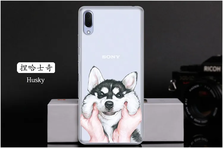  Husky